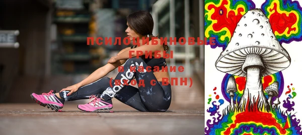 прущие крисы Пестово