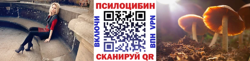 гидра маркетплейс  площадка формула  Псилоцибиновые грибы мухоморы  Суджа 